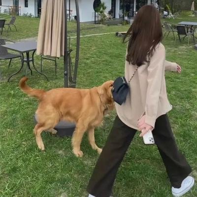 田教授家的28个保姆